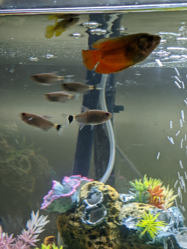 Animal Feed Store «Farmland Pets & Feed», reviews and photos, 9000 Silverdale Way NW, Silverdale, WA 98383, USA