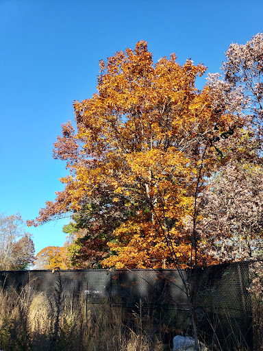 Park «NARA Park», reviews and photos, 25 Ledge Rock Way, Acton, MA 01720, USA