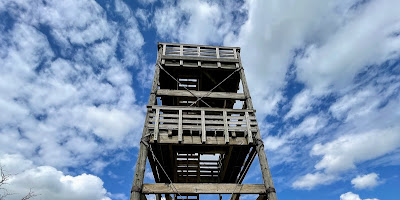 Lapham Peak Observation Tower