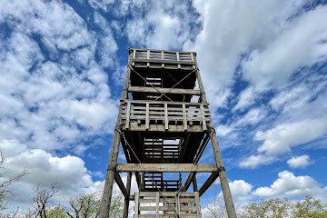 Lapham Peak Observation Tower