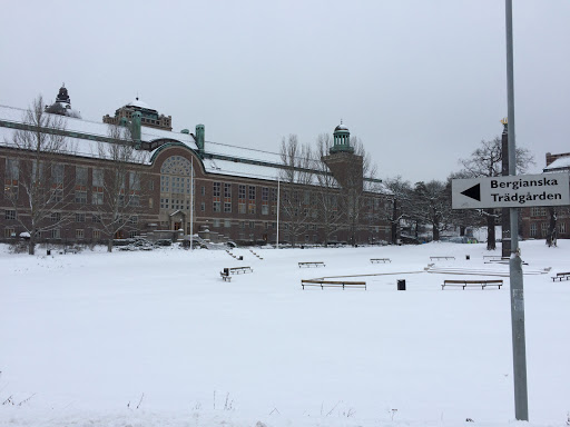 Parkering Naturhistoriska