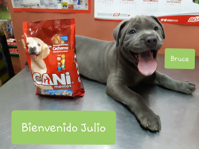 Mundo Animal Vet Quevedo