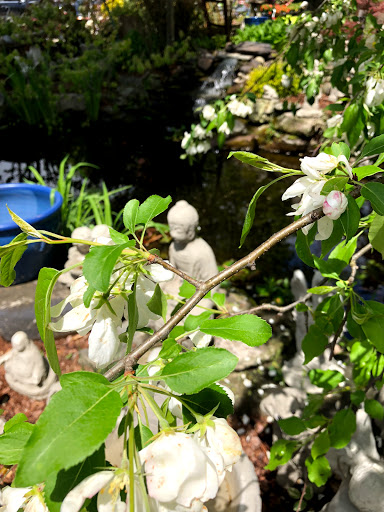 Garden Center «Stonewall Garden Center», reviews and photos, 4675 PA-447, Canadensis, PA 18325, USA