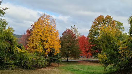 Dessert Shop «J Foster Ice Cream», reviews and photos, 894 Hopmeadow St, Simsbury, CT 06070, USA