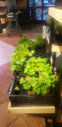 Grocery Store «Quality Food Center», reviews and photos, 2636 Bellevue Way NE, Bellevue, WA 98004, USA