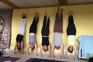 Yoga Vidya Freiburg