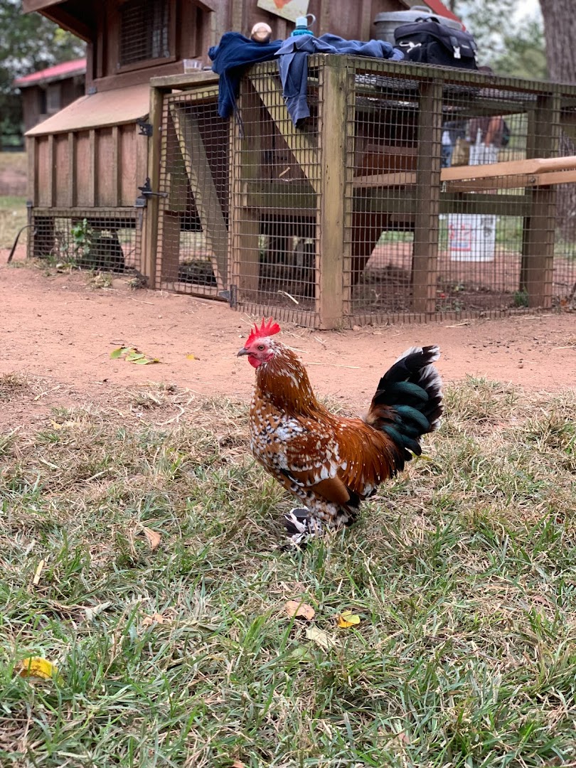 Poplar Spring Animal Sanctuary