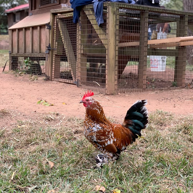 Poplar Spring Animal Sanctuary