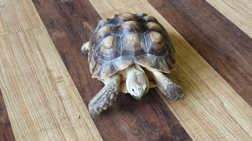 Bicycle Store «The Underground Bike Shop», reviews and photos, 1519 N 3rd St, Harrisburg, PA 17102, USA
