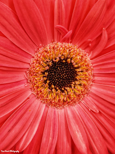 Home Improvement Store «The Home Depot», reviews and photos, 56 Myrick St, Ellsworth, ME 04605, USA