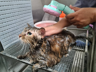 เจ้าตัวจ้อย อาบน้ำตัดขนหมาแมว