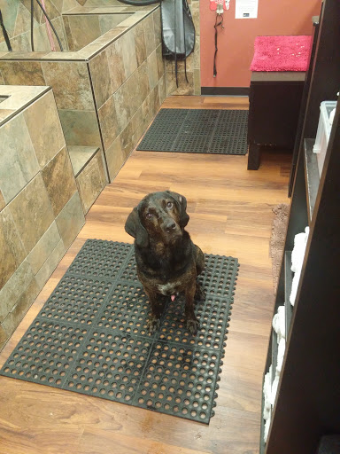 Pet Supply Store «Pet Valu», reviews and photos, 1305 West Seventh Street #28, Frederick, MD 21702, USA