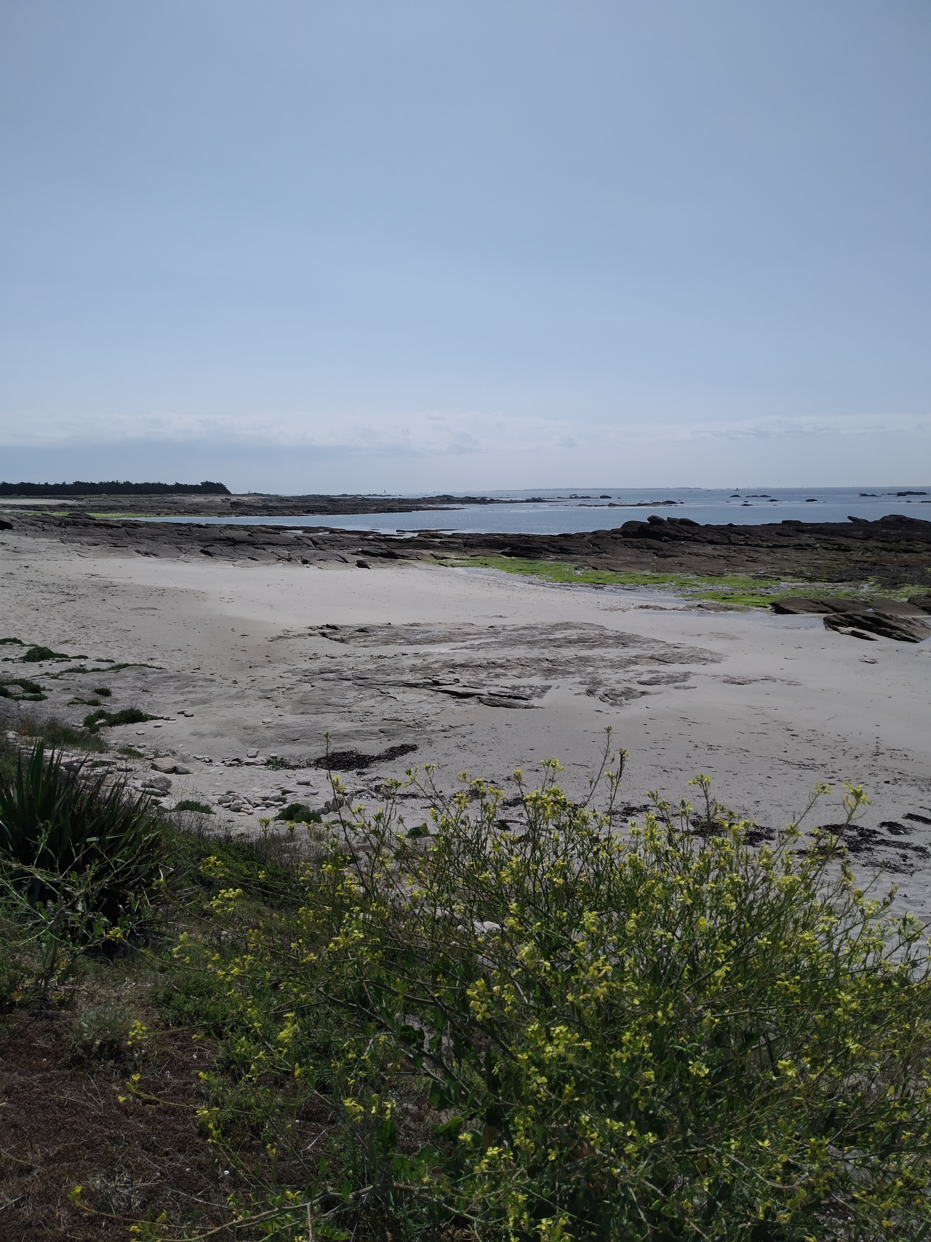 Photo n° 17 de l'avis de babeth.i fait le 17/05/2022 à 19:44