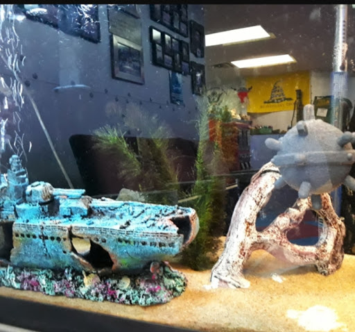 Tattoo Shop «Ink Armory Art & Tattoo Studio», reviews and photos, 414 W Loop 281, Longview, TX 75604, USA