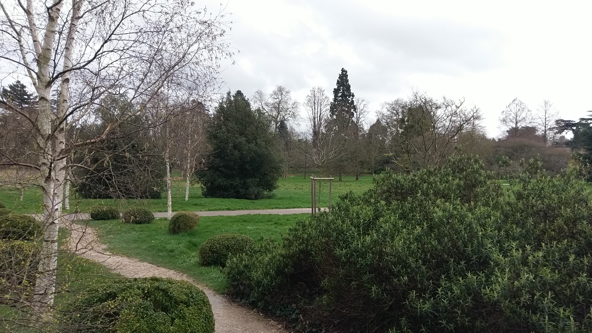 Photo n° 1 de l'avis de cedric.e fait le 14/03/2020 à 14:52
