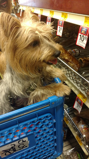 Pet Supply Store «PetSmart», reviews and photos, 380 S State Rd 434, Altamonte Springs, FL 32714, USA