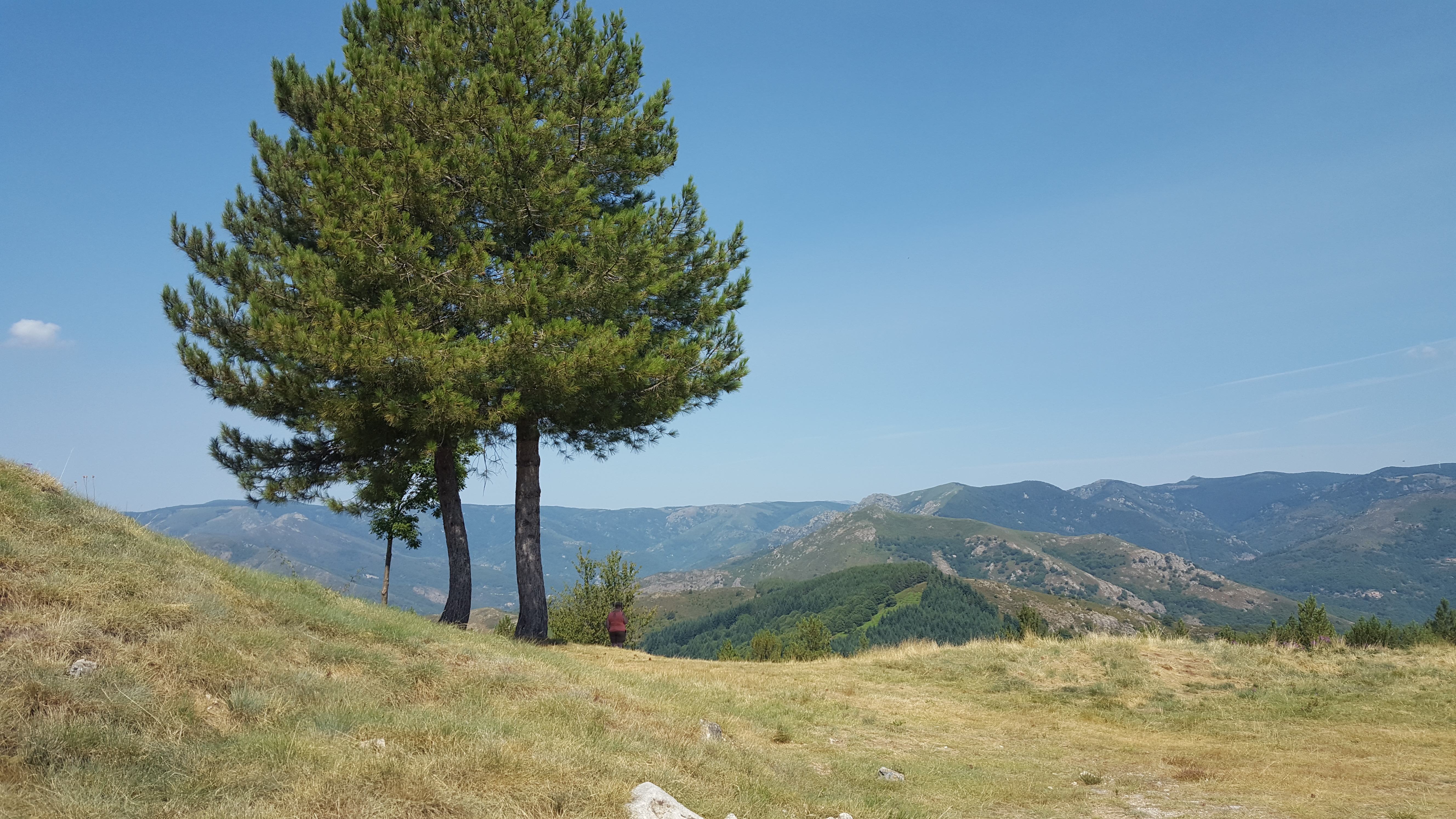 Photo n° 25 de l'avis de Joël.a fait le 24/08/2017 à 07:11