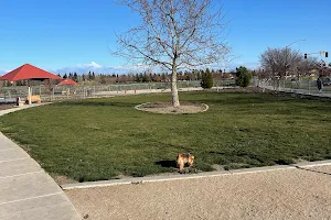 North Natomas Regional Dog Park image