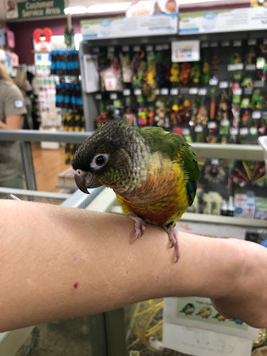 Pet Store «Petland», reviews and photos, 1600 Turner McCall Blvd, Rome, GA 30161, USA