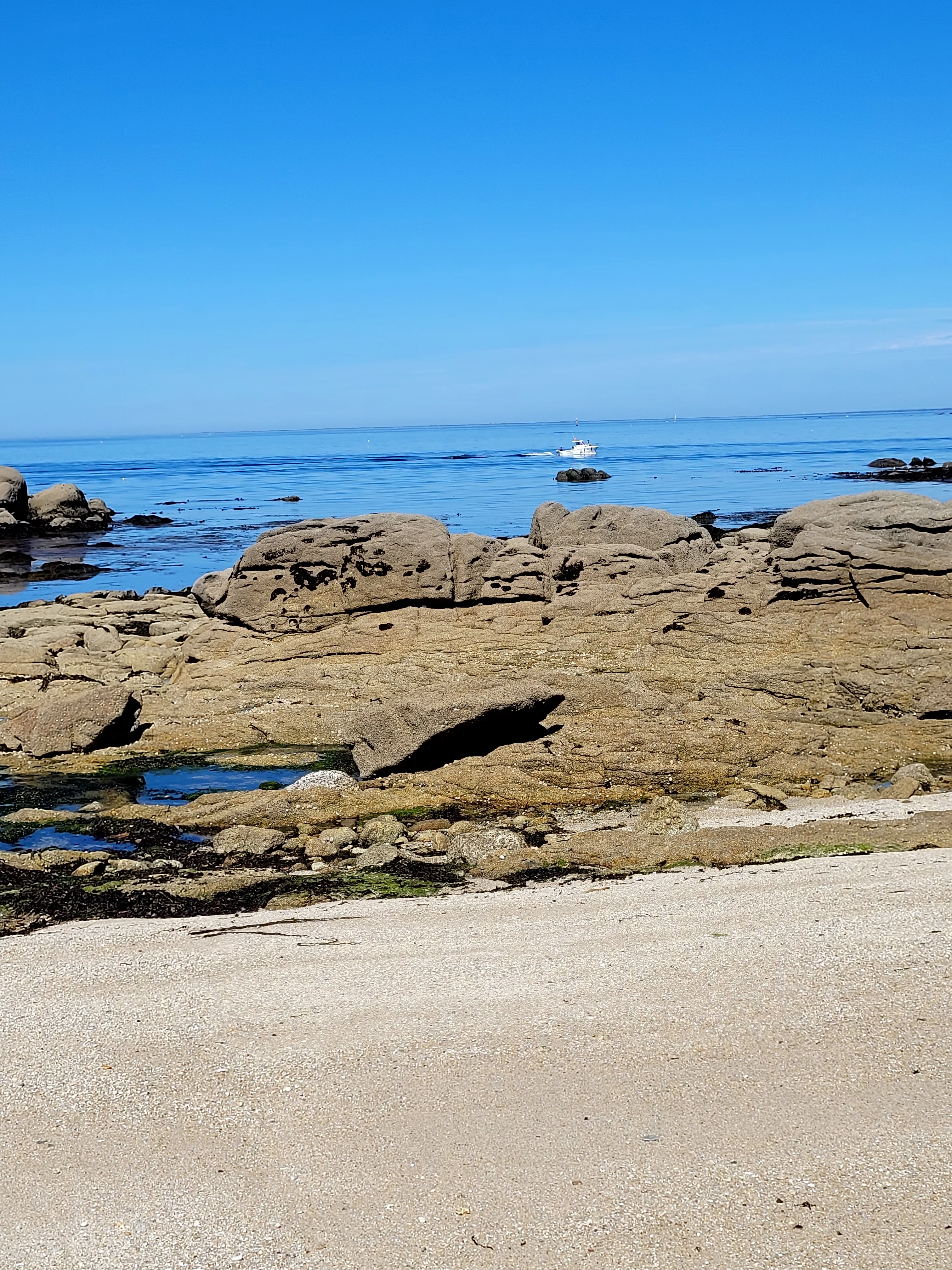 Photo n° 1 de l'avis de Valérie.e fait le 13/07/2022 à 12:02