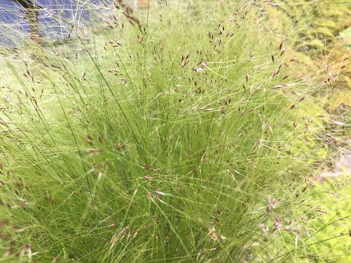 Landscaper «Blacklotus Landscaping LLC», reviews and photos