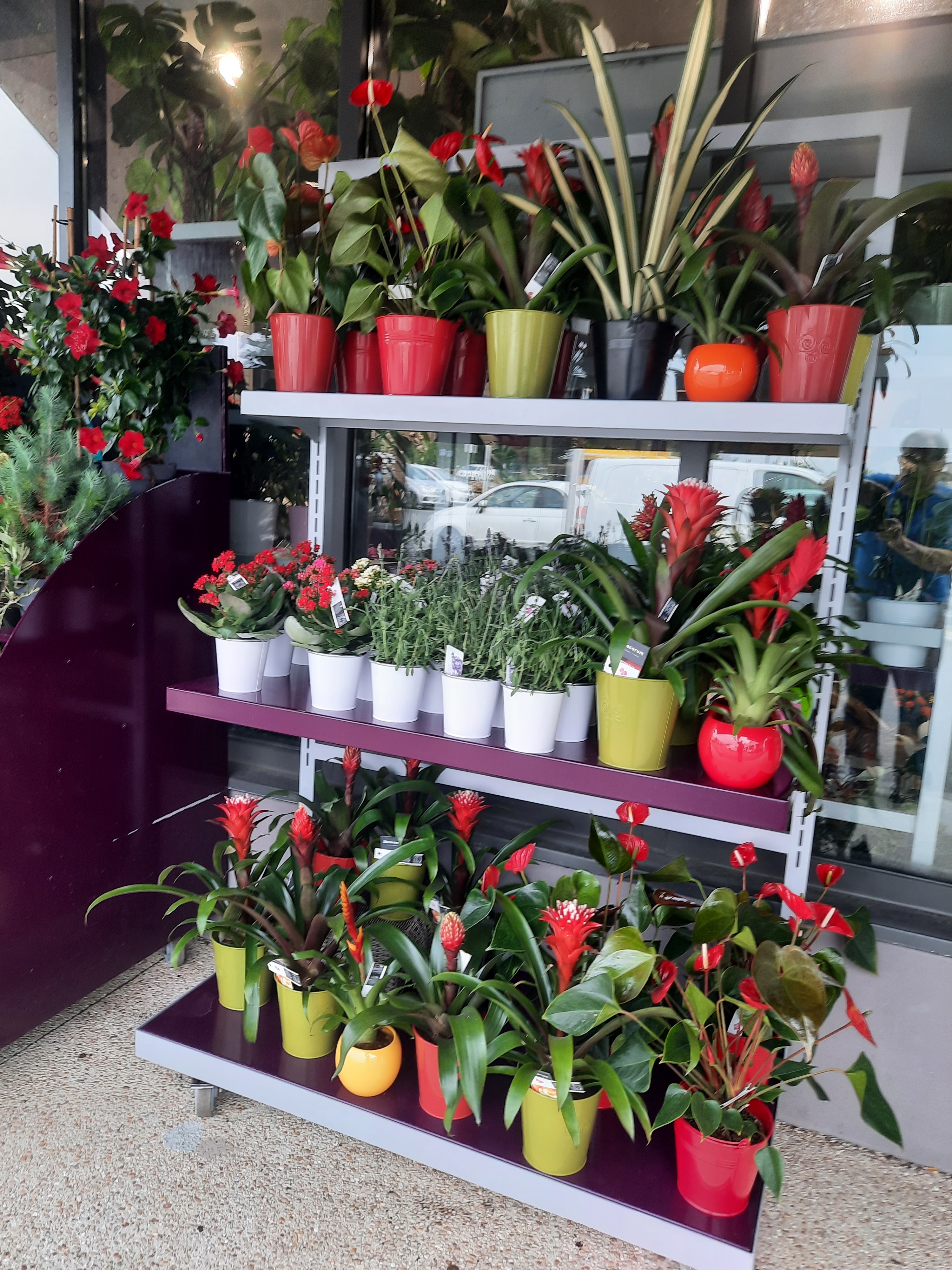 Photo n° 7 de l'avis de Jacques.e fait le 18/05/2019 à 12:55