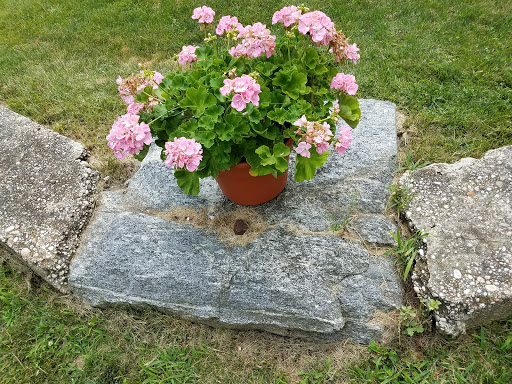 Science Museum «Tesla Science Center», reviews and photos, 5 Randall Rd, Shoreham, NY 11786, USA