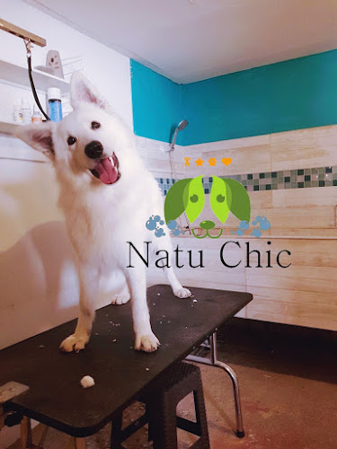 Opiniones de Peluqueria canina Natu Chic en Antofagasta - Peluquería