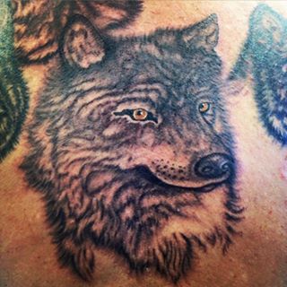 Tattoo Shop «Carolina Custom Tattoos», reviews and photos, 3319 Platt Springs Rd, West Columbia, SC 29169, USA