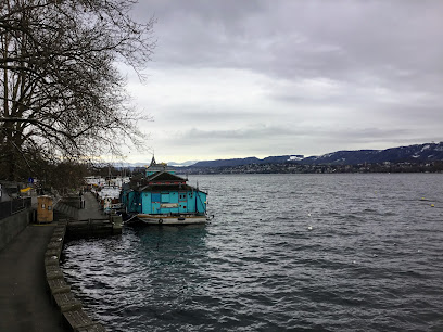 Zürichsee Schifffahrt Hafen