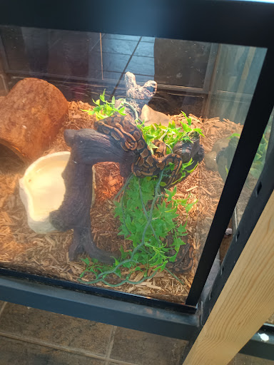 Pet Supply Store «House of Pets Inc», reviews and photos, 29500 Ford Rd, Garden City, MI 48135, USA