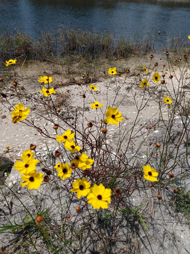 Nature Preserve «Loxahatchee Slough Natural Area», reviews and photos, 9060 W Indiantown Rd, Jupiter, FL 33478, USA