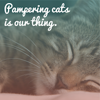 Brooklyn Cat Sitting - Photo 6 - Car repair in , New York