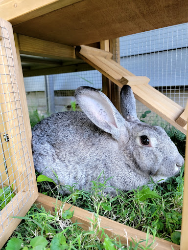 Tourist Attraction «Stark County Fair», reviews and photos, 305 Wertz Ave NW, Canton, OH 44708, USA