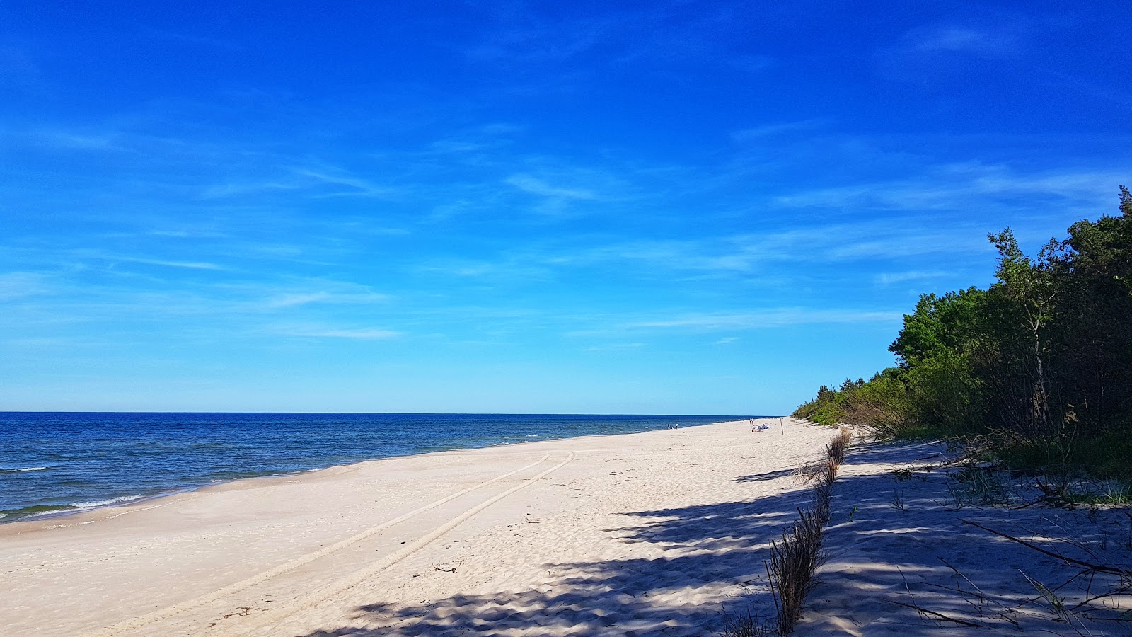 Foto av Kuznica Dog Beach med ljus fin sand yta