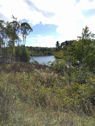 Nature Preserve «Maltby Lakes», reviews and photos, Derby Turnpike, West Haven, CT 06516, USA