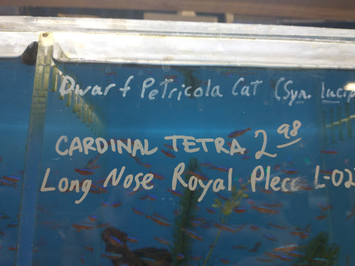 Tropical Fish Store «The Fish Store», reviews and photos, 12320 Lake City Way NE, Seattle, WA 98125, USA