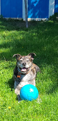 Pet Supply Store «Pet Supplies Plus», reviews and photos, 2224 S Main St, Ann Arbor, MI 48103, USA