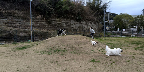 犬専用公園