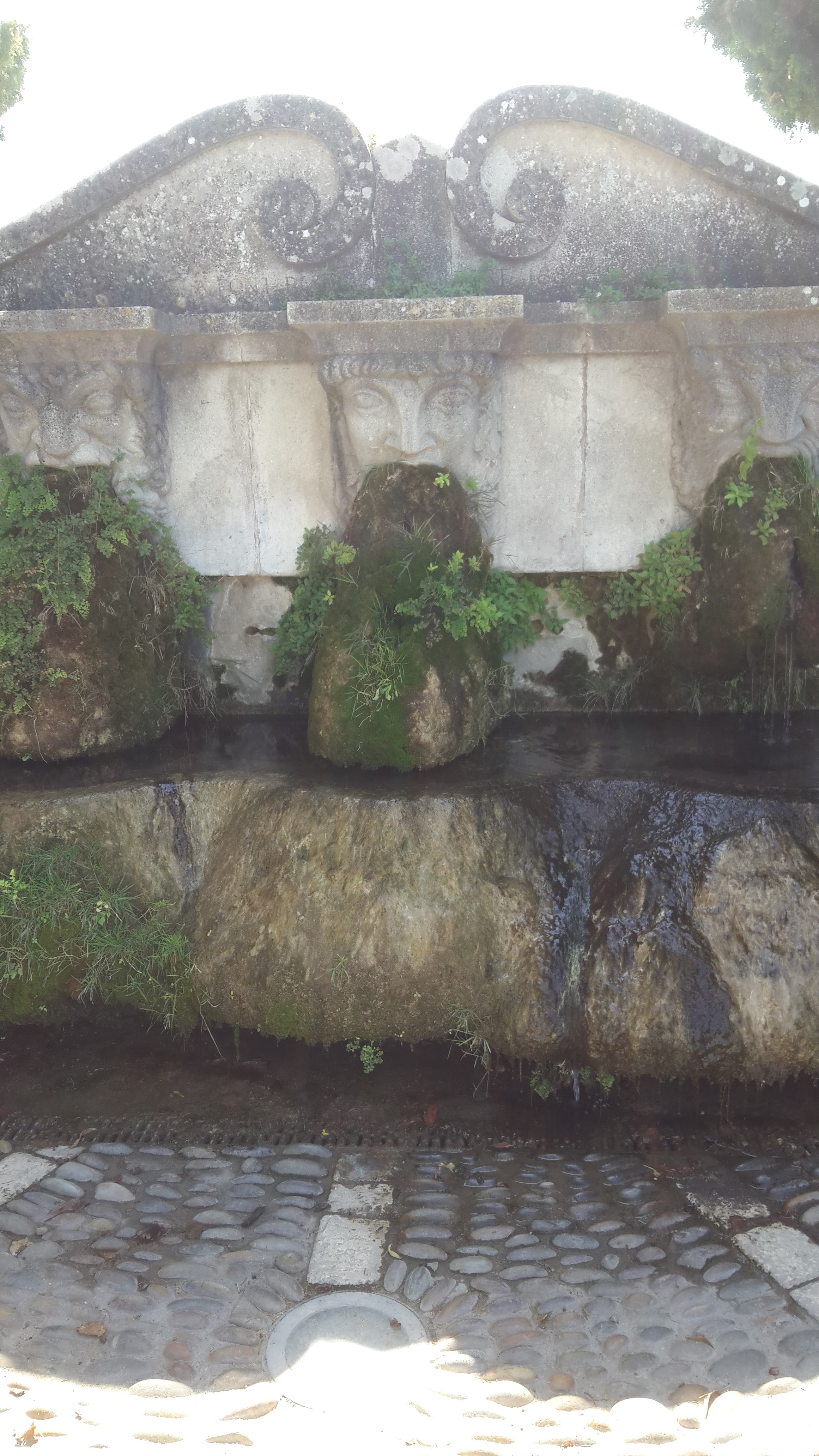 Photo n° 1 de l'avis de Danielle.o fait le 12/09/2020 à 12:55