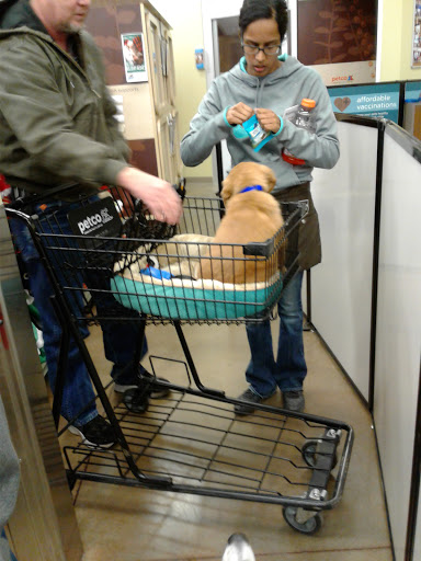 Pet Supply Store «Petco Animal Supplies», reviews and photos, 2210 N Eagle Rd, Meridian, ID 83646, USA