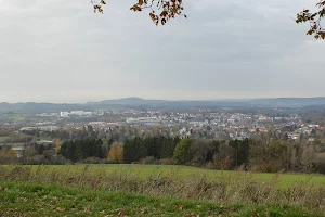 Eiche am Panoramaweg (St.Wendel) image