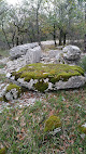 Dolmen du Pech de Grammont Gramat