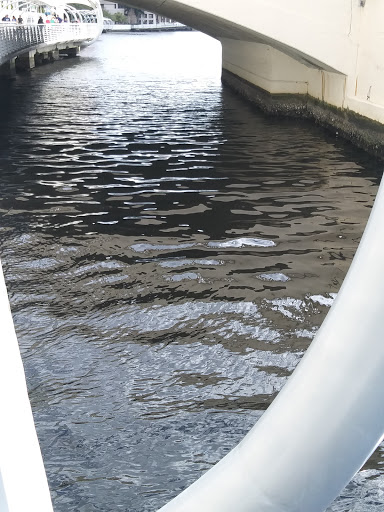 Museum «Henry B. Plant Museum», reviews and photos, 401 W Kennedy Blvd, Tampa, FL 33606, USA