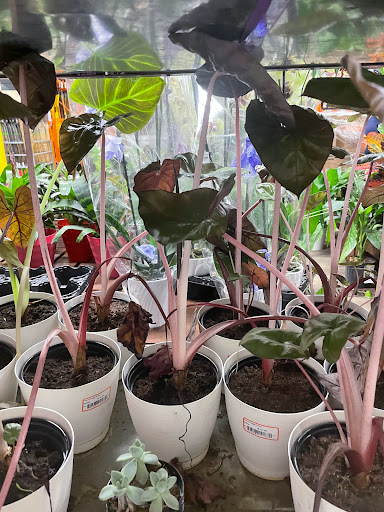 Home Improvement Store «The Home Depot», reviews and photos, 43675 Greenway Corporate Dr, Ashburn, VA 20147, USA