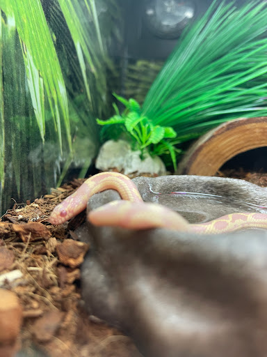 Pet Supply Store «PetSmart», reviews and photos, 625 W Crossville Rd, Roswell, GA 30075, USA