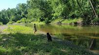 Dog Walking With JP - Photo 7 - Car repair in , Columbia