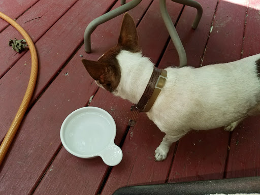 Nature Preserve «Rowlett Creek Preserve», reviews and photos, 2525 Castle Dr, Garland, TX 75040, USA