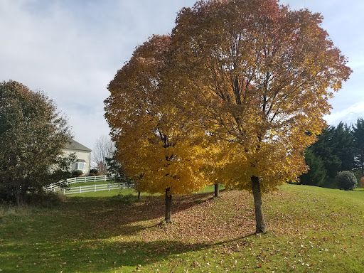 Golf Club «Richland Golf Club», reviews and photos, 50 Glenbrook Dr, Middletown, MD 21769, USA