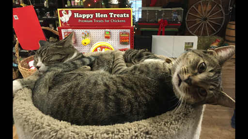 Pet Supply Store «A S Labieniec», reviews and photos, 945 Farmington Ave, Berlin, CT 06037, USA